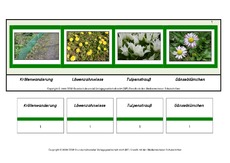 Setzleiste-zusammengesetzte-Frühlingswörter 1.pdf